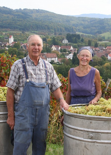 Weinlese B. und E. L�mmlin